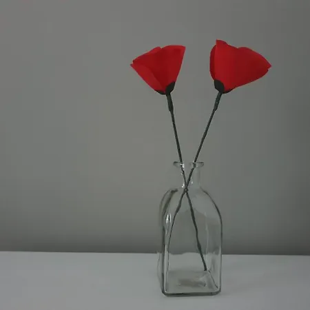 Doble Campuzano Homestay Bilbao